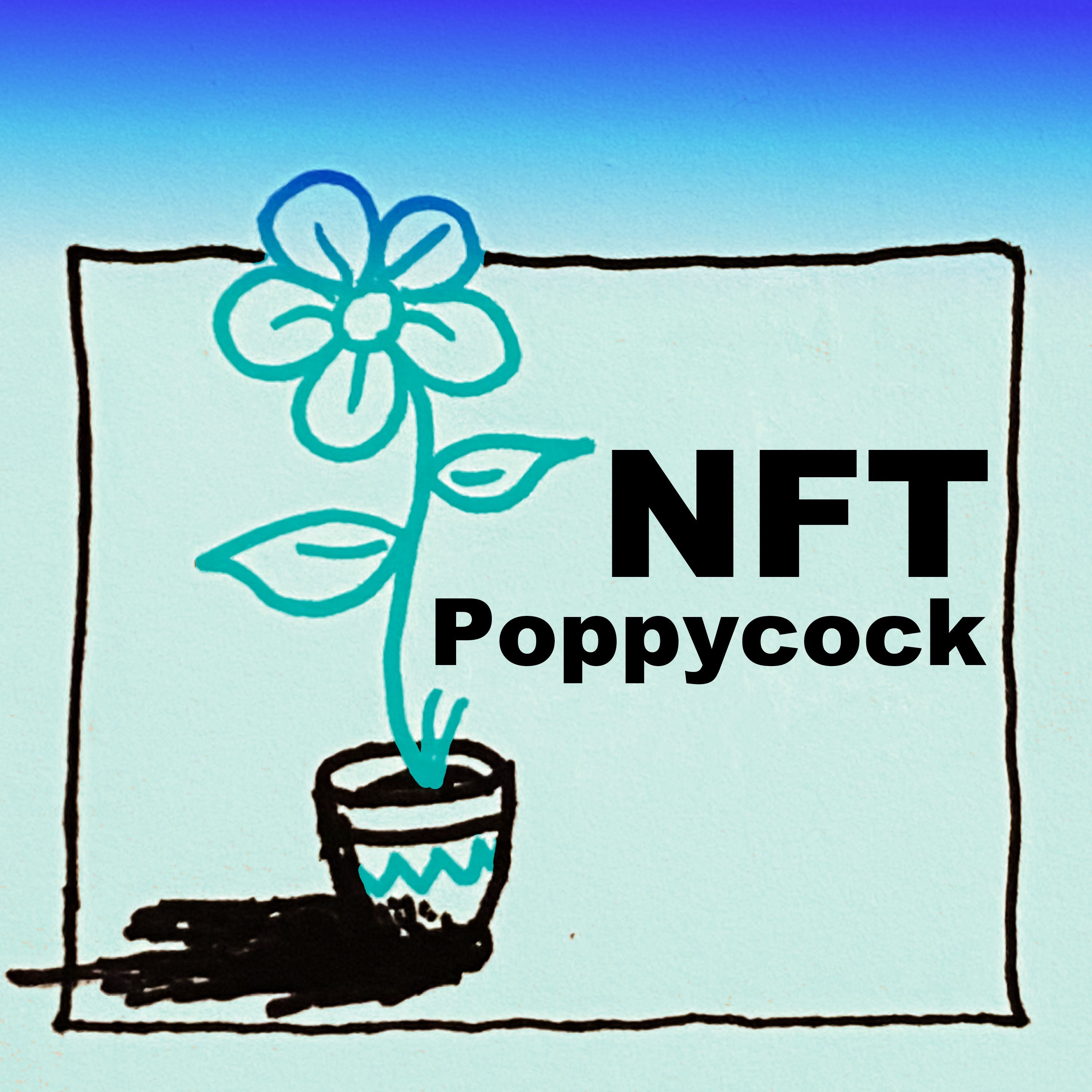 Non Fungible Token Poppycock
